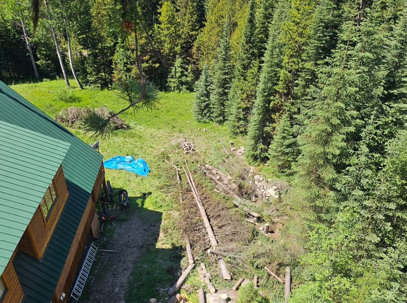 SISU Tree Risk Assessment