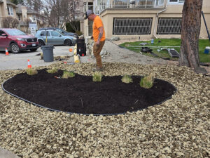 SISU Treecare new garden with stone surround