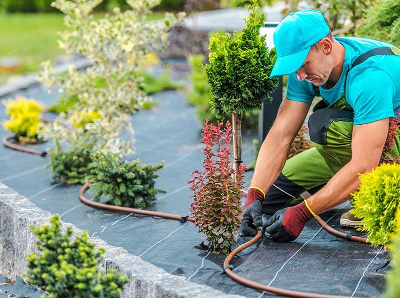 plats irrigation system