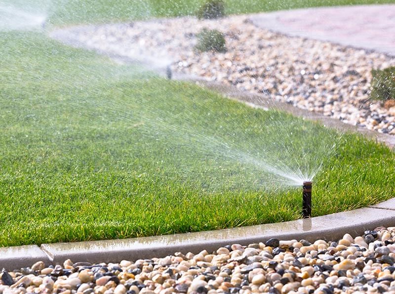 sprinklers watering grass
