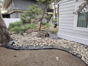 SISU Tree Care preparing for stone garden