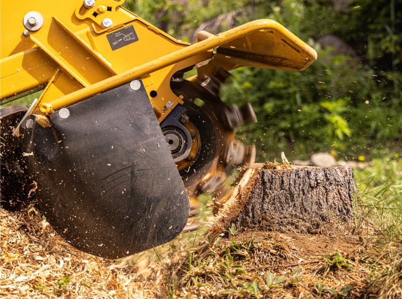 stump grinding